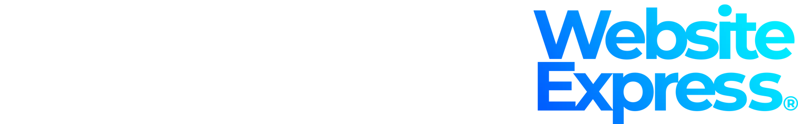 WAVE Website Express